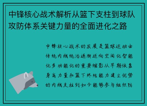 中锋核心战术解析从篮下支柱到球队攻防体系关键力量的全面进化之路 中锋核心战术解析从篮下支柱到球队攻防体系关键力量的全面进化之路